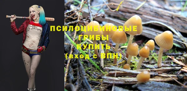 наркотики Белокуриха